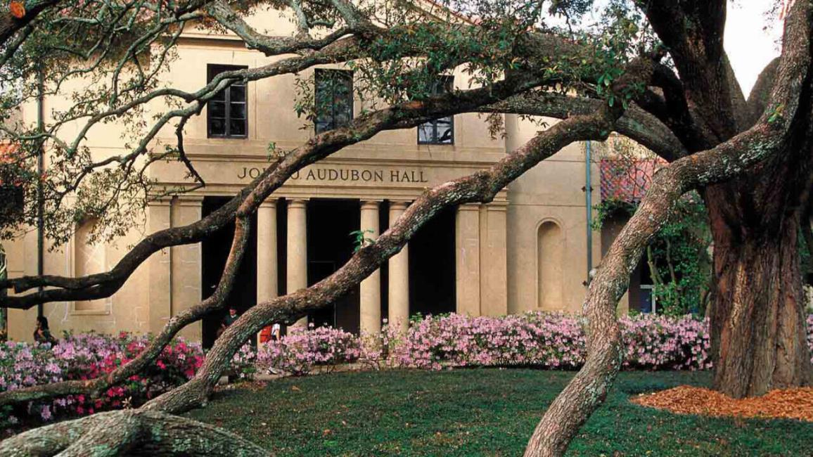 Louisiana State University, Baton Rouge, Louisiana