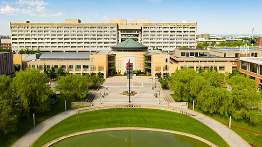 York University