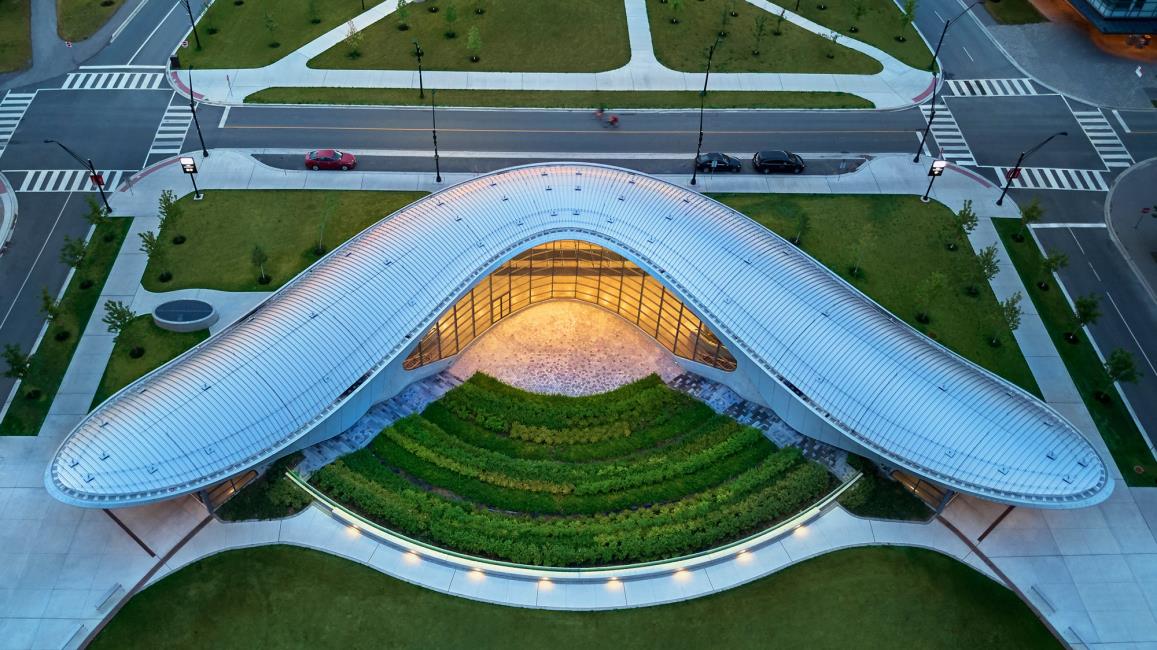 York University