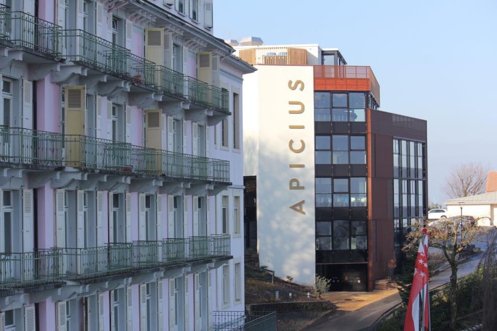 Culinary Arts Academy Switzerland (CAAS)