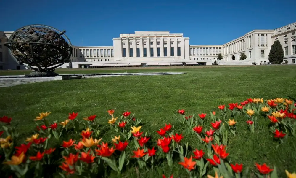International Institute in Geneva (IIG)