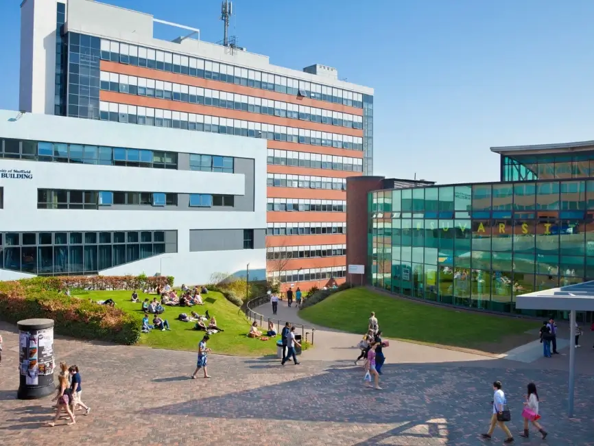 University of Sheffield