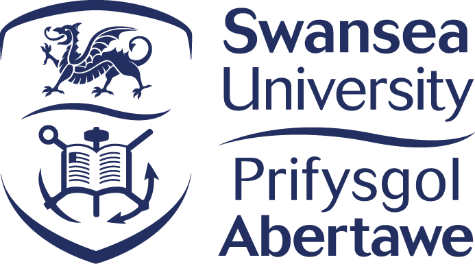 The College, Swansea University