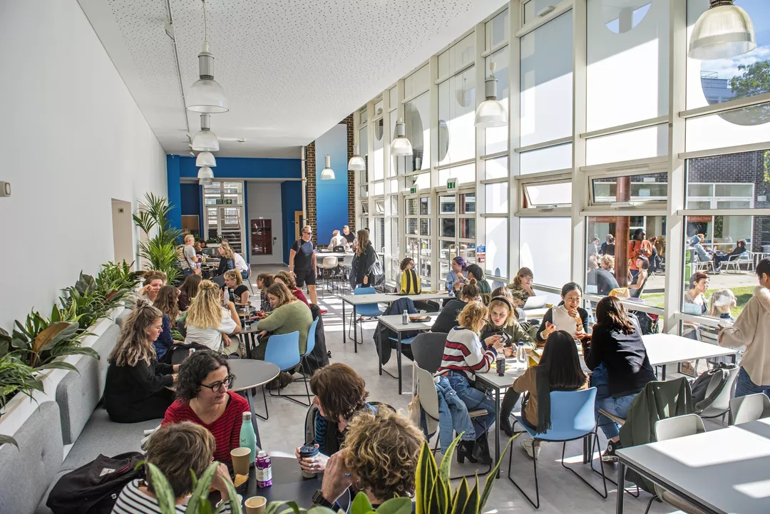 University of Brighton