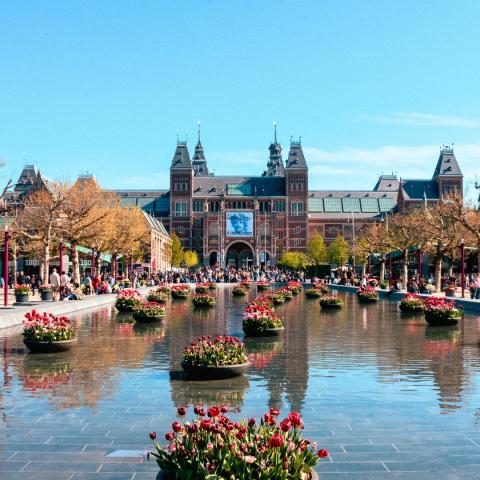 University of Applied Sciences Europe