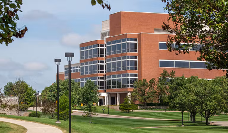 Independent College