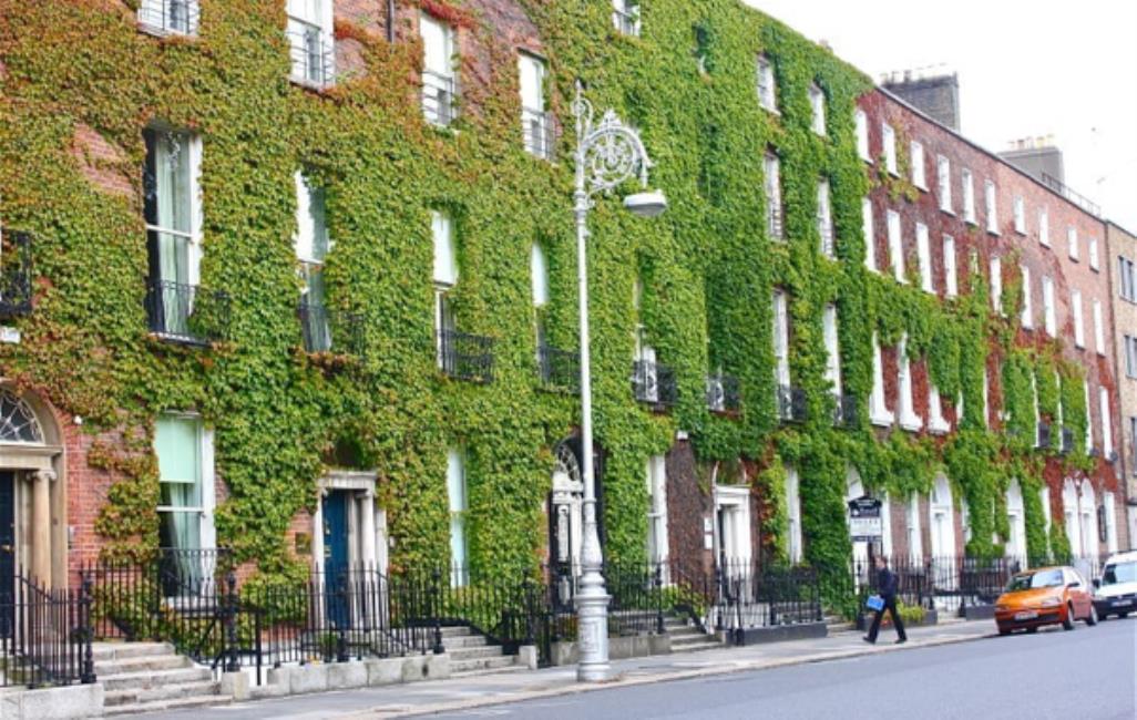 Holmes Institute Dublin