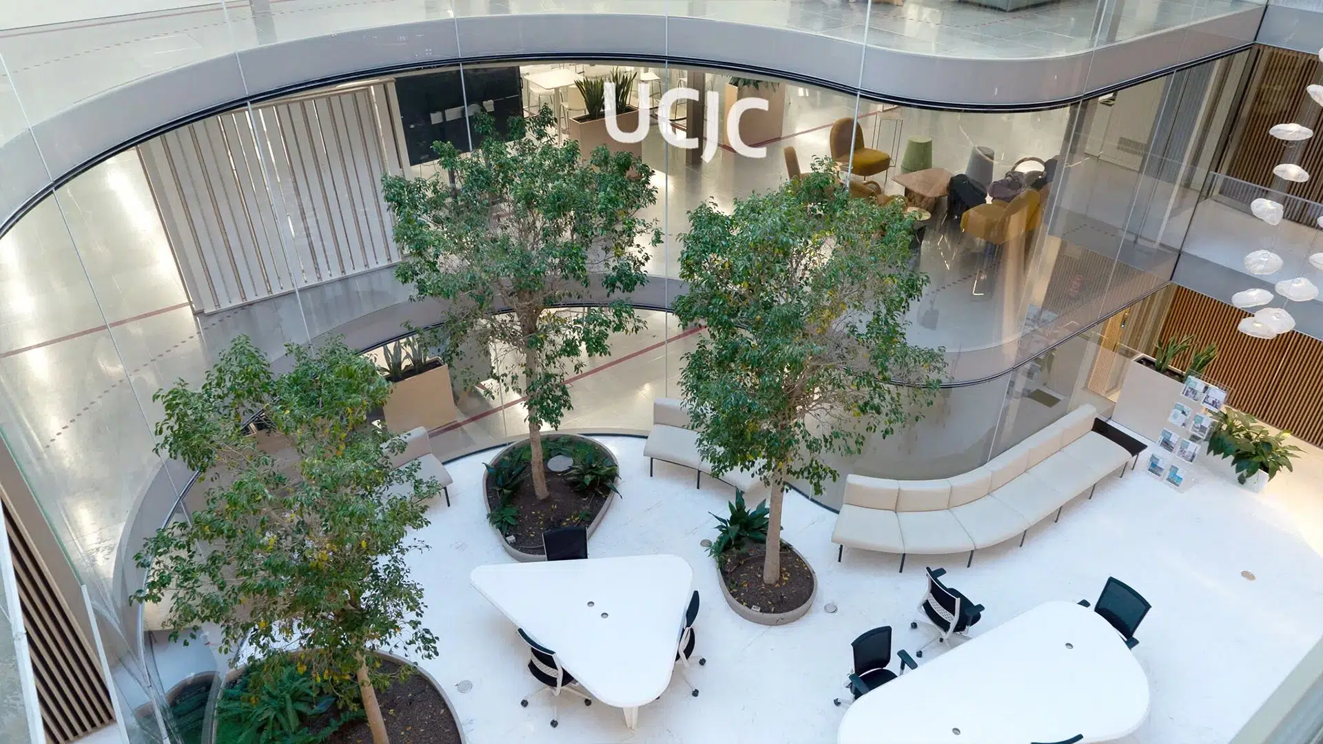 Camilo Jose Cela University