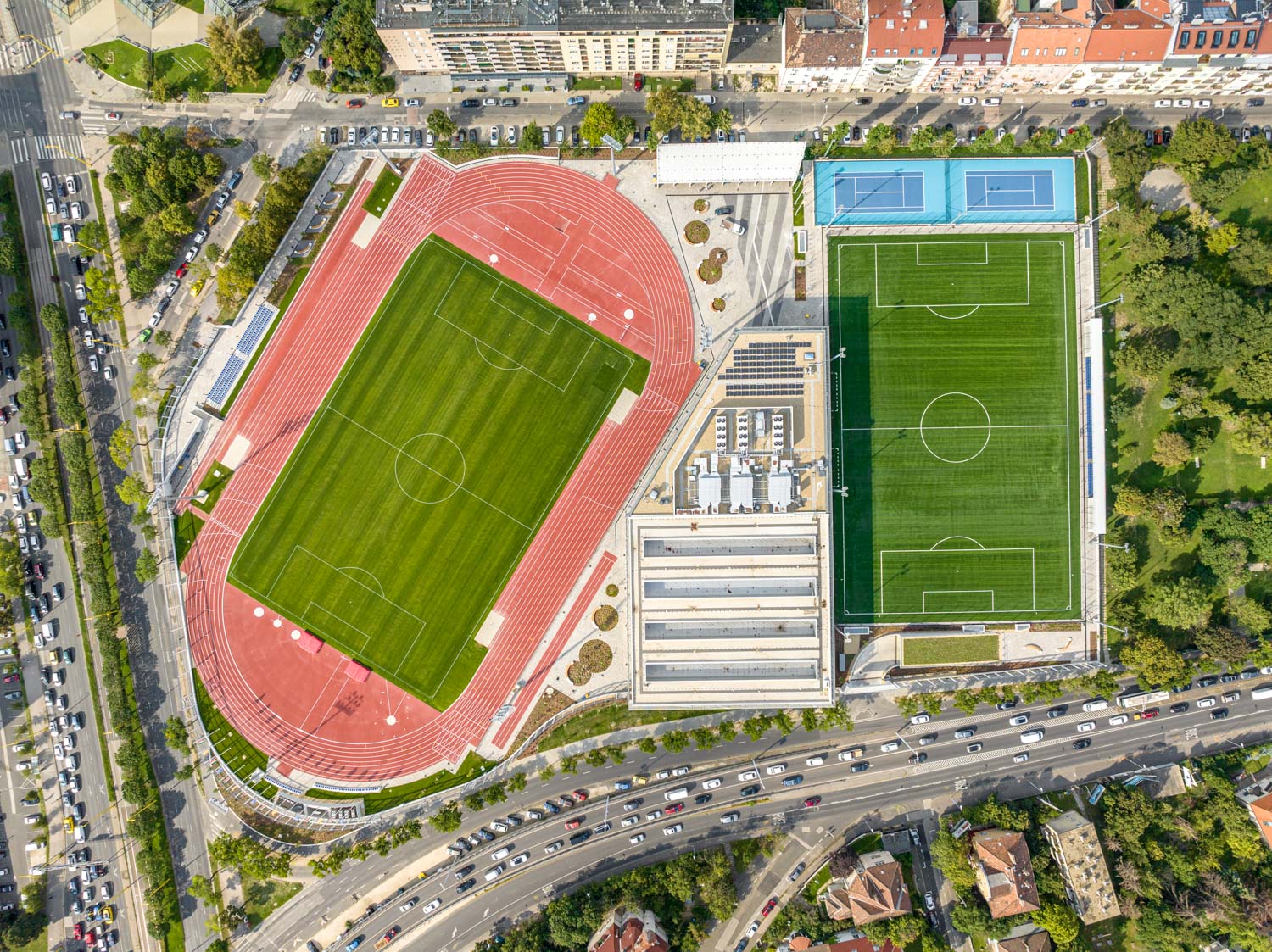 Hungarian University of Sports Science (TF)